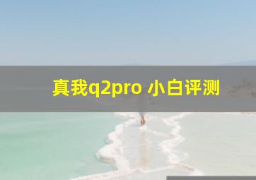 真我q2pro 小白评测